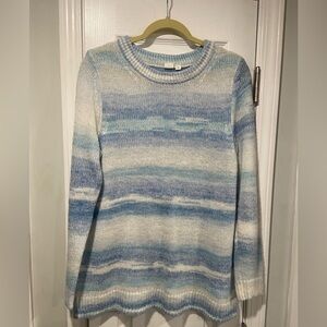 Gap Size L Blue Ombré Stripe Long Sleeve Crew Beck Loose Knit Pullover Sweater